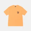 RASTA LION TEE PIGMENT DYED